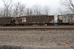 NS 10205